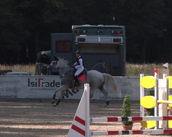 Reitturnier Ranshofen - Braunau am Inn 2023