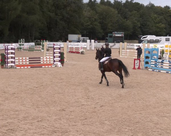 Reitturnier Ranshofen - Braunau am Inn 2023
