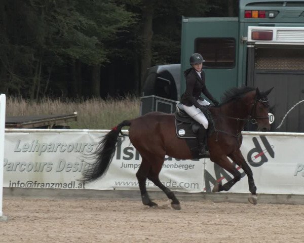 Reitturnier Ranshofen - Braunau am Inn 2023