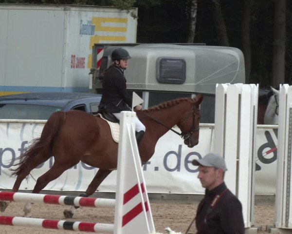 Reitturnier Ranshofen - Braunau am Inn 2023