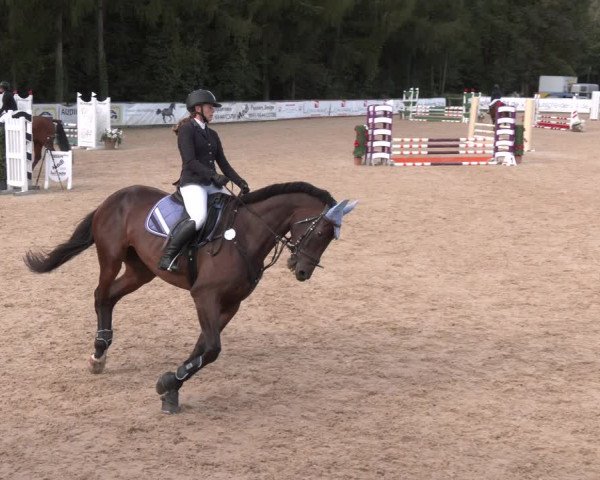 Reitturnier Ranshofen - Braunau am Inn 2023