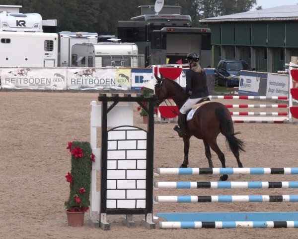 Reitturnier Ranshofen - Braunau am Inn 2023