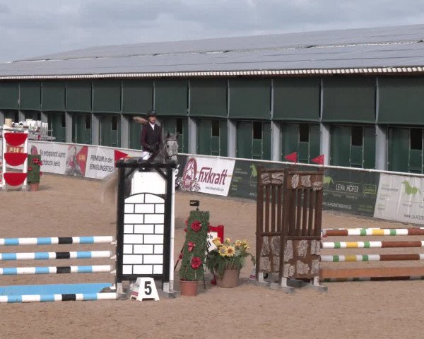 Reitturnier Ranshofen - Braunau am Inn 2023