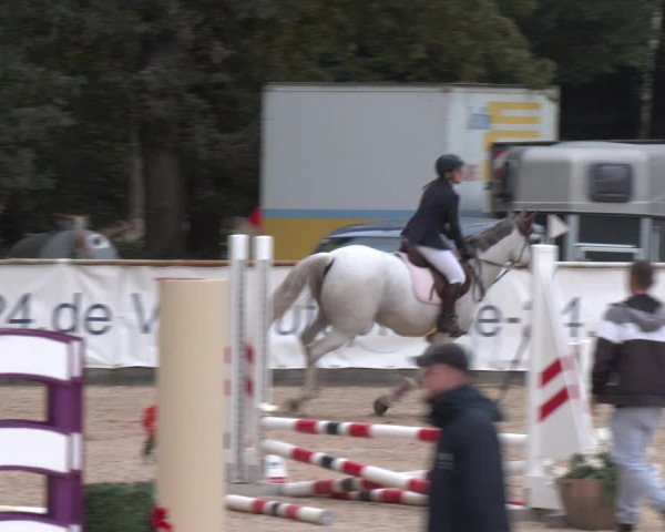 Reitturnier Ranshofen - Braunau am Inn 2023