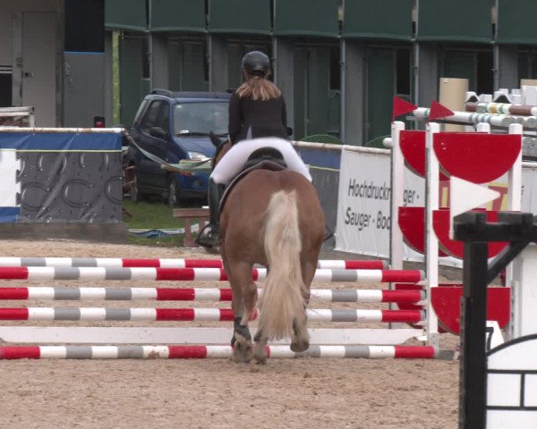 Reitturnier Ranshofen - Braunau am Inn 2023