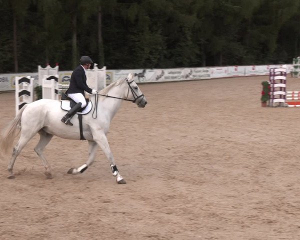 Reitturnier Ranshofen - Braunau am Inn 2023