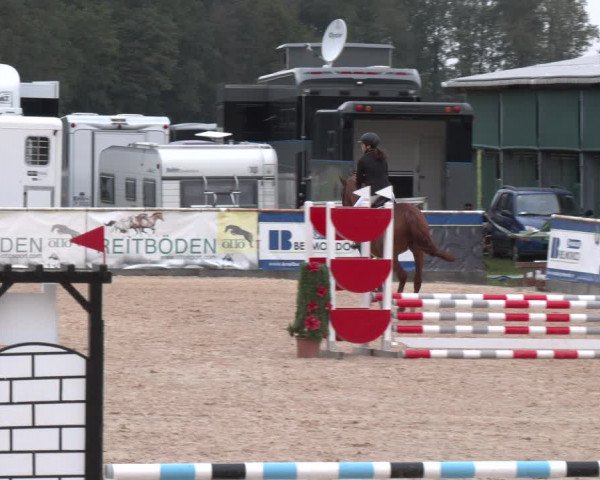 Reitturnier Ranshofen - Braunau am Inn 2023