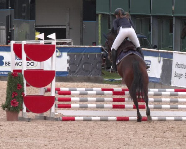 Reitturnier Ranshofen - Braunau am Inn 2023