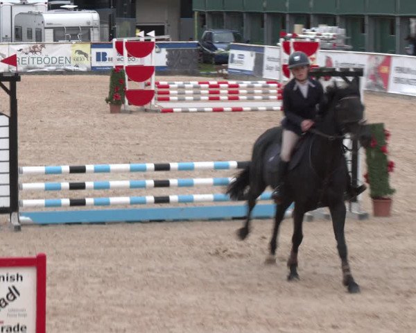 Reitturnier Ranshofen - Braunau am Inn 2023