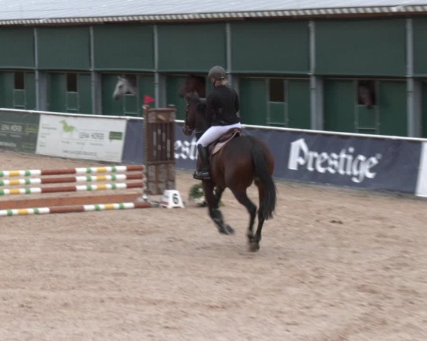 Reitturnier Ranshofen - Braunau am Inn 2023