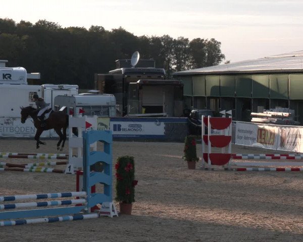 Reitturnier Ranshofen - Braunau am Inn 2023