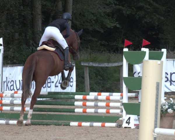 Reitturnier Ranshofen - Braunau am Inn 2023