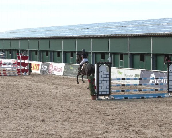Reitturnier Ranshofen - Braunau am Inn 2023