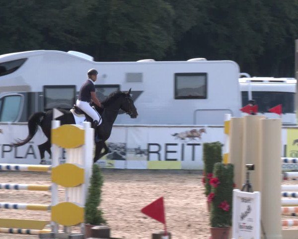 Reitturnier Ranshofen - Braunau am Inn 2023