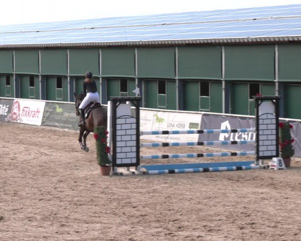 Reitturnier Ranshofen - Braunau am Inn 2023