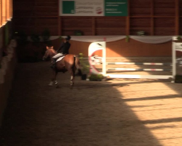 Reitturnier Xanten - Reitanlage Miss 2023
