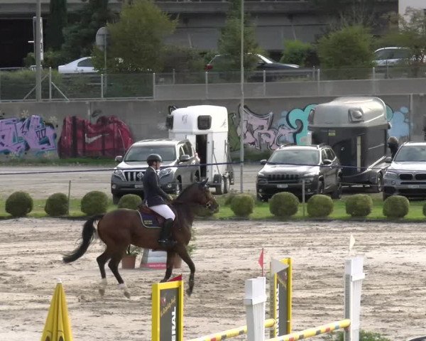 Reitturnier Basel/Schänzli 2023