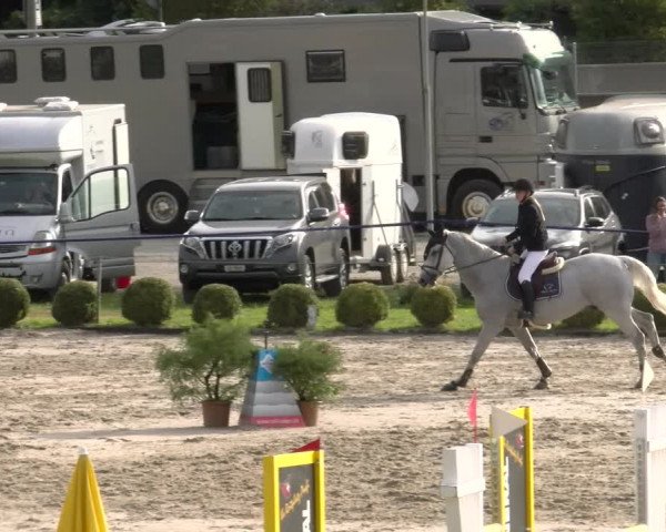 Reitturnier Basel/Schänzli 2023
