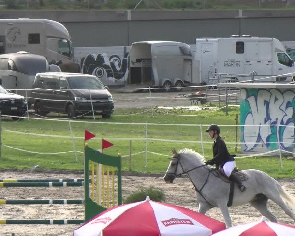 Reitturnier Basel/Schänzli 2023