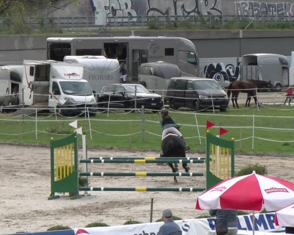 Reitturnier Basel/Schänzli 2023