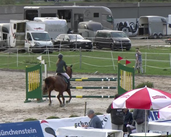 Reitturnier Basel/Schänzli 2023