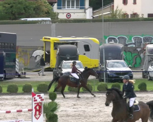 Reitturnier Basel/Schänzli 2023