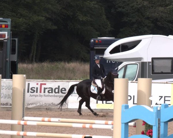Reitturnier Ranshofen - Braunau am Inn 2023