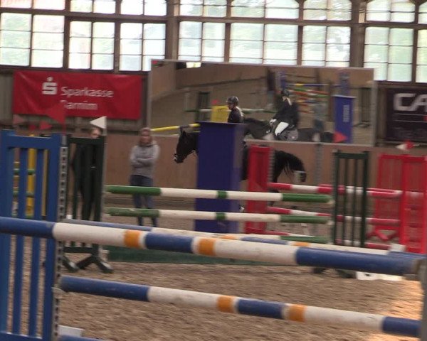 Reitturnier Elisenau 2023