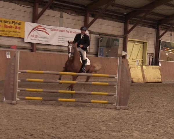 Reitturnier Elisenau 2023