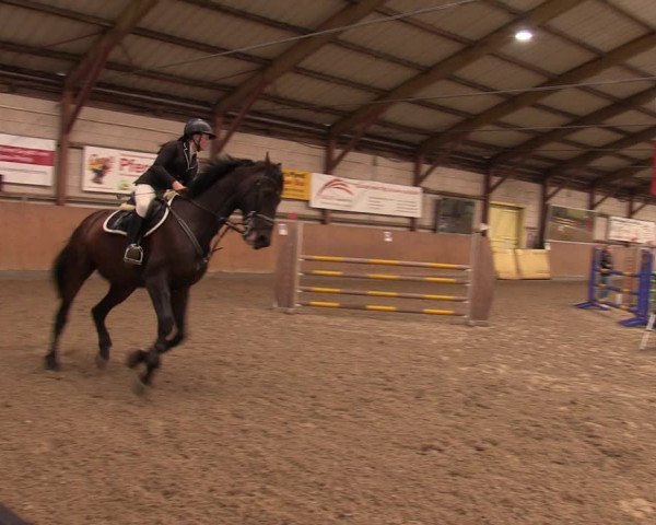 Reitturnier Elisenau 2023