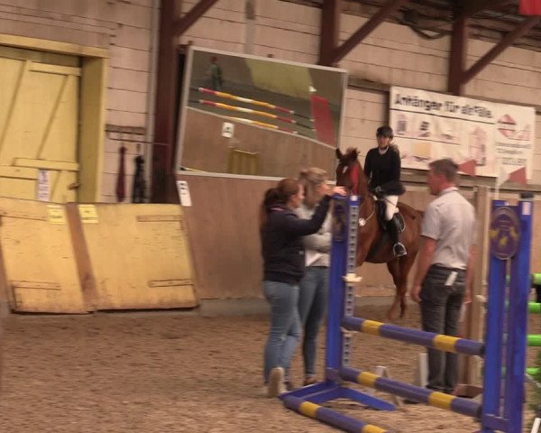 Reitturnier Elisenau 2023