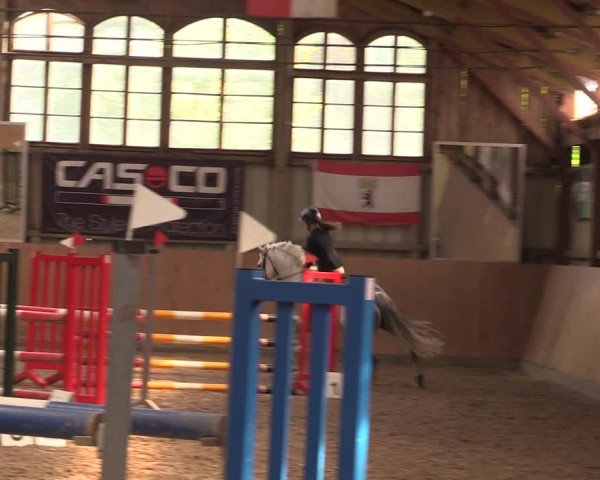 Reitturnier Elisenau 2023