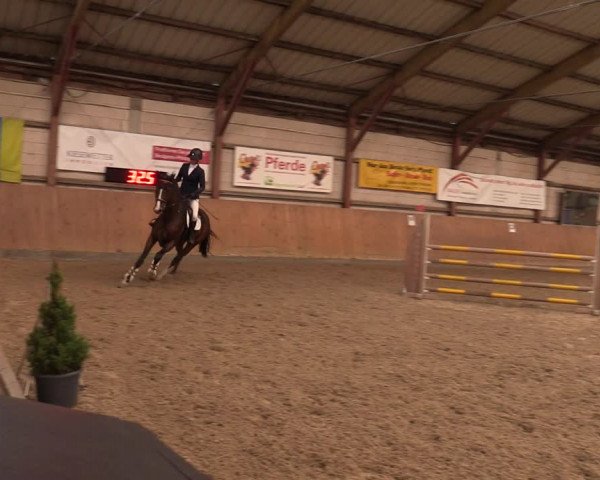 Reitturnier Elisenau 2023