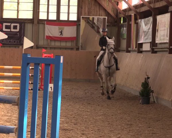 Reitturnier Elisenau 2023