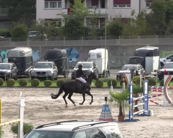 Reitturnier Basel/Schänzli 2023
