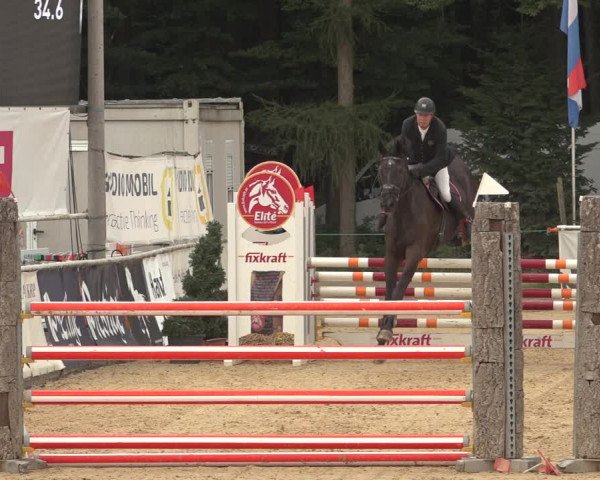 Reitturnier Ranshofen - Braunau am Inn 2023