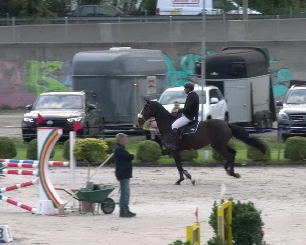Reitturnier Basel/Schänzli 2023