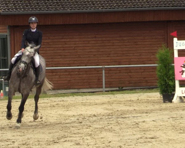 Reitturnier Dortmund-Barop 2021