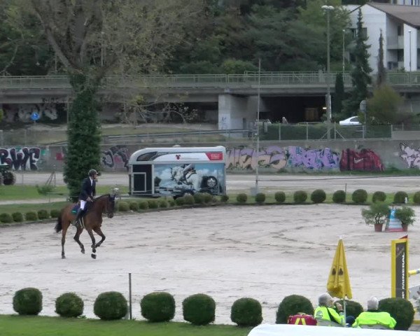 Reitturnier Basel/Schänzli 2023