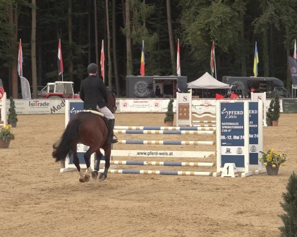 Reitturnier Ranshofen - Braunau am Inn 2023