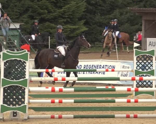 Reitturnier Ranshofen - Braunau am Inn 2023