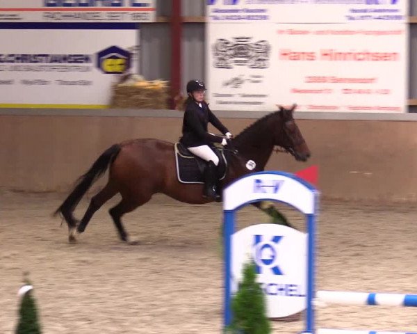 Reitturnier Behrendorf 2023