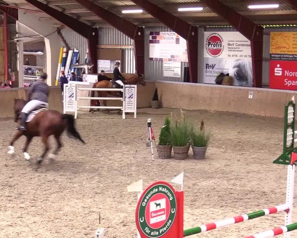 Reitturnier Behrendorf 2023