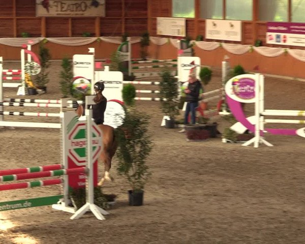 Reitturnier Xanten - Reitanlage Miss 2023