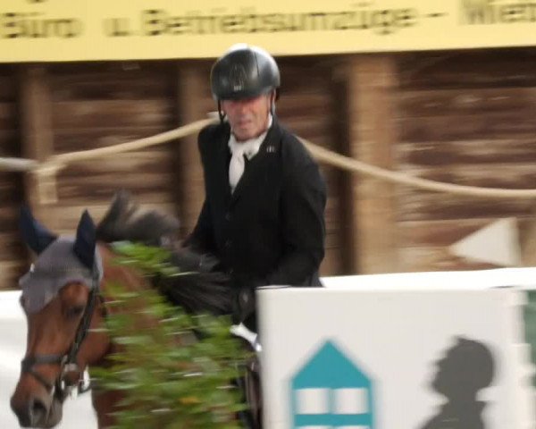 Reitturnier Böblingen 2023