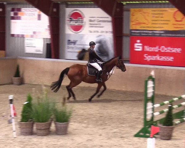 Reitturnier Behrendorf 2023