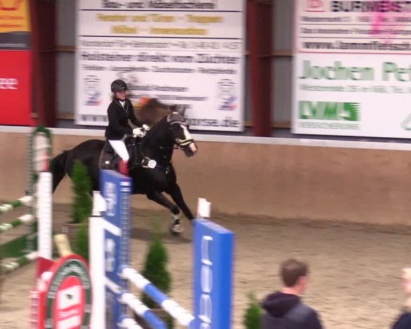 Reitturnier Behrendorf 2023
