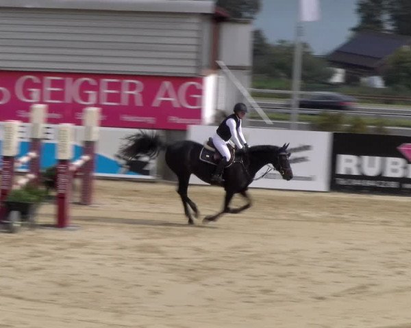 Reitturnier Wädenswil 2023