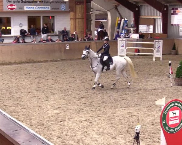 Reitturnier Behrendorf 2023