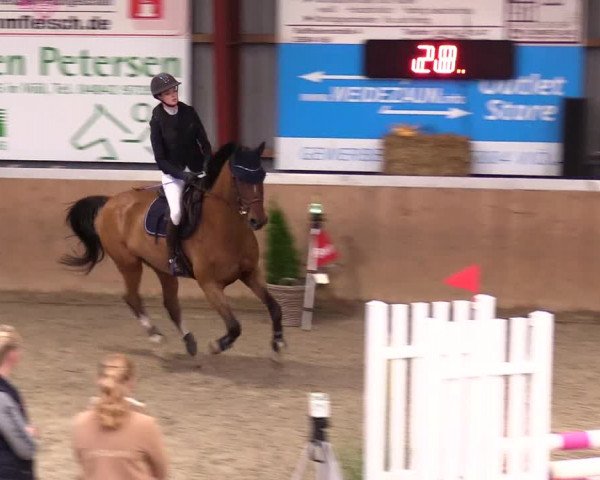 Reitturnier Behrendorf 2023